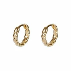 Oliver Bonas Gold Tone Cisco Twisted Huggie Earrings -Default Template 2 unnamed file 710